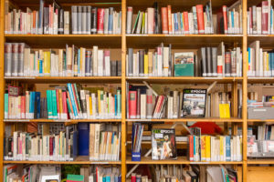 GoaDienstag-Bibliothek54 GoaDienstag-Bibliothek54